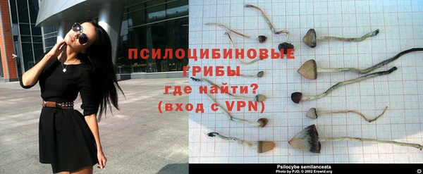 a pvp Армянск