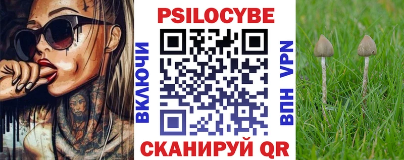 где купить наркотик  Рыльск  площадка телеграм  Псилоцибиновые грибы Cubensis 
